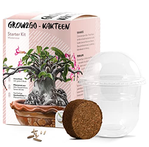 GROW2GO Kakteen Starter Kit Anzuchtset - Pflanzset aus Mini-Gewächshaus, Kaktus Samen & Erde - nachhaltige Geschenkidee für Pflanzenfreunde (Wüstenrose)
