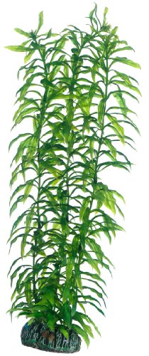 Hobby 51567 Heteranthera, 34 cm