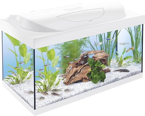 Tetra Starter Line 54 L Aquarium Weiß, Komplett-Set - inkl. Tag- & Nachtlicht LED-Beleuchtung, Innenfilter, Heizer, Fischfutter und Wasseraufbereiter