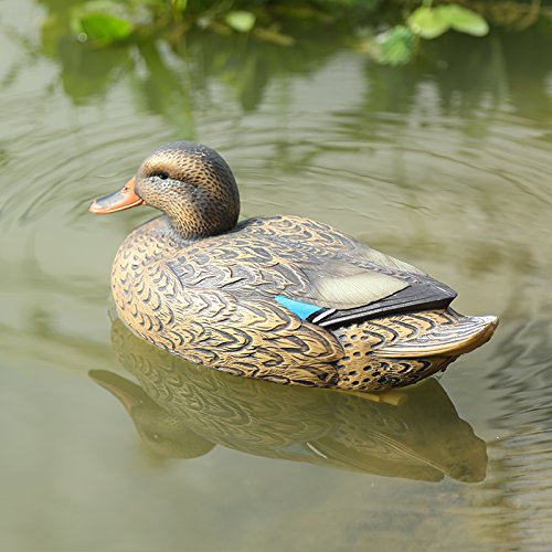 Sharplace Kunststoff Lockvogel - Schwimmend Ente Henne Köder Jagd Fischerei Garten Teich - Henne