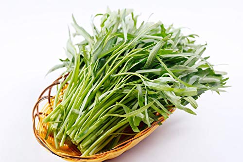 Wasserspinat (Ipomaea Aquatica) - 40 Samen - Sehr gutes Gemüse aus Asien