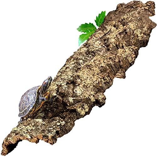 Korkrinde XXL 100x30 cm | 1 Meter lang | Naturprodukt Korkeiche | Deko im Terrarium, Basteln, DIY | gereinigt | extra großes Korkstück für Nagetiere, Reptilien, Vögel - Zierkork - Naturkork