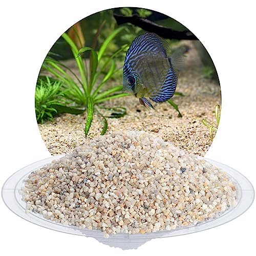 Schicker Mineral – 5 kg Aquariumkies Beige – grober Aquariumkies gewaschen & ungefärbt – kantengerundeter Bodengrund Kies für Süßwasseraquarien & Meerwasseraquarien (Ø Körnung: 2,0-3,15 mm)