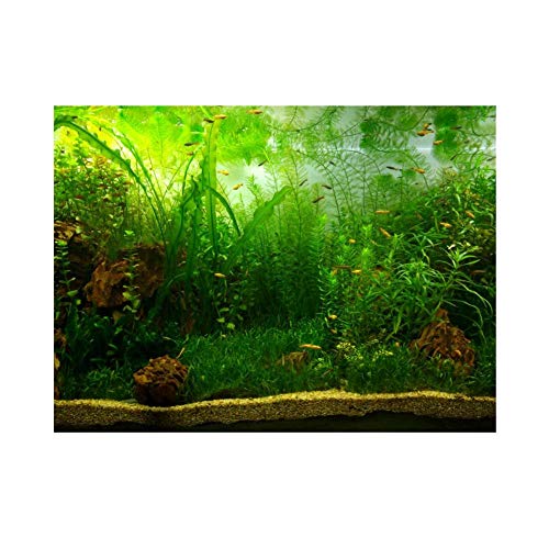 Aquarium Hintergrund Aquarium Dekorationen Bilder PVC Adhesive Poster Wasser Gras Stil Hintergrund Dekoration Papierklammer Aufkleber Aufkleber(61 * 30cm)