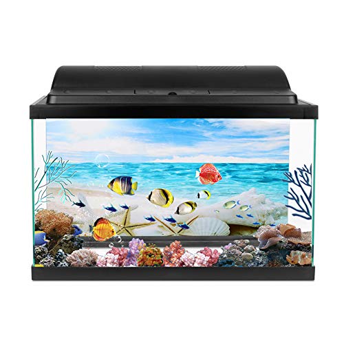 Aquarium-Hintergrund, Aquarium-Hintergrund, Dekorative Seestern-Gemälde, PVC-Aufkleber, Landschaft, Terrarium-Hintergrund, Hintergrundposter für Fotografie, Aquarium (61 * 30CM)