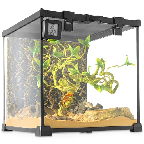 NEPTONION Professionelles Glas-Terrarium, langlebig, Reptilien-Lebensraum, 30 x 30 x 30 cm