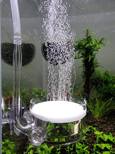 JARDLI Pollen Glas CO2 Diffusor mit U Pipe für Aquarium Gepflanzt Tank (Φ40mm)