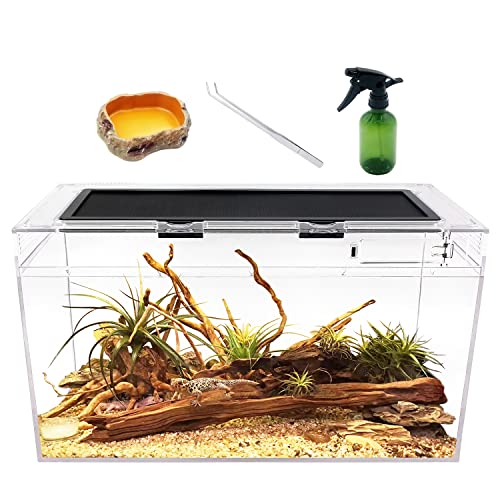 Reptile Growth Terrarium Komplettset, 50 x 25 x 27cm Faunarium für,Schnecken,Insekten,Wasserschildkröten，Vogelspinnen,Springspinne,Leopard Gecko,Bärtiger Drache ，Frosch,Aquarium,Einsiedlerkrebs…