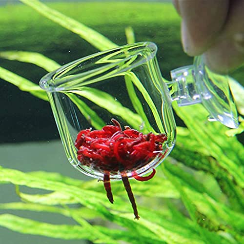 CENPEK 2 Stück Aquarium-Futterkegel aus Glas, Pflanzenbecher, Salzgarnelen, lebender roter Wurm, Fisch-Futterspender für Aquarien mit Saugnapf