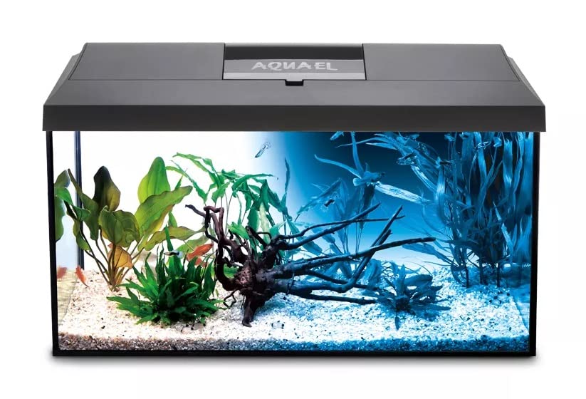 Aquael Aquarium Set Leddy LED komplett inkl. Abdeckung, Filter, Heizer, Day & Night LED (60x30x30cm schwarz)