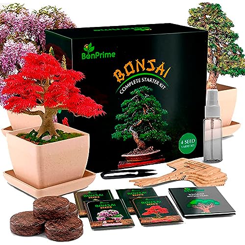 BonPrime Bonsai Starter Kit - Einsteigerfreundliches Set mit 4 Baumsorten - 4 Pflanzen-Töpfe aus Bambus, 4 Torfpellets, 4 Pflanzenmarker, Schere & Wasser-Sprühflasche, gedruckte (Bonsai Kit)