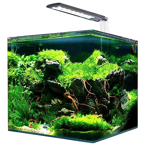 Amtra NANOTANK System 20 - Glasaquarium komplett mit LED-Licht und Filter/cm 25x25x30 / 18 Liter