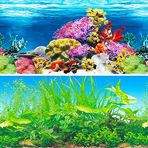 IrisCargo Aquarium-Aufkleber, Aquarium-Hintergrund, PET-Hintergrund, Unterwasser-Poster, Wanddekoration (H-62 x 40 cm)
