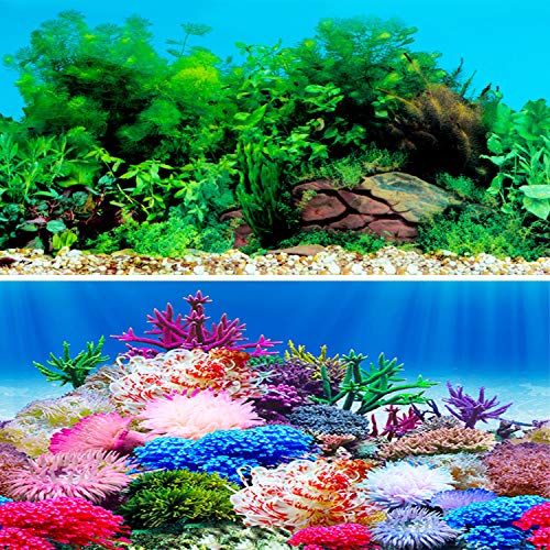 IrisCargo Aufkleber für Aquarien, Hintergrund für Aquarien, PET, Aquarium-Hintergrund, Unterwasser-Poster, Wanddekoration (G-62 x 40 cm)