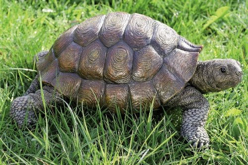 Schildkröte Gartentier MALI Teichdeko Kunststein 34 cm