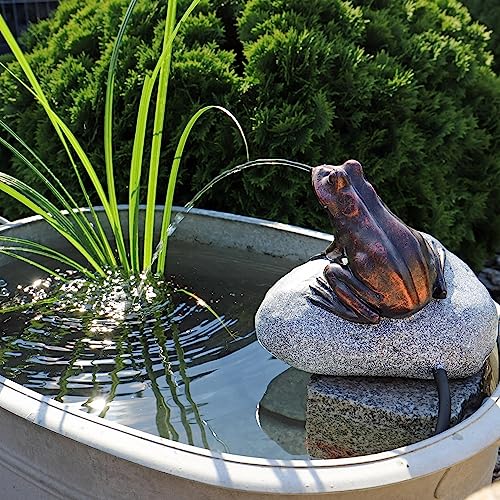 CLGarden Set Frosch Wasserspeier NSP10 Teichfigur Solarbrunnen mit Solar Pumpe für Teich Gartenteich