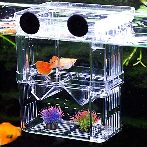 Aufzuchtbecken Aquarium, NETUEM Acryl Double Layer Fische Aufzuchtbehälter/Ablaichkasten/Aufzuchttank/Zuchtbecken für Guppy Garnelen Mollys, Aquarium Babybecken Isolationskiste Jungfiisch,Lsize