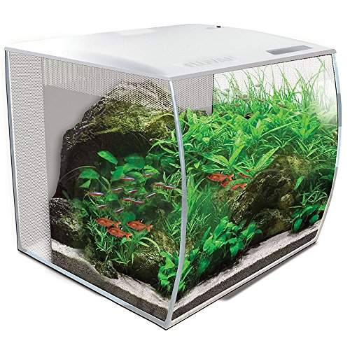 Fluval Flex Aquarium 57L, Süßwasser Aquarium, weiß, 1 Stück (1er Pack)